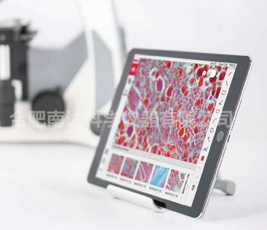 Motic Panthera Client Motic Panthera Client