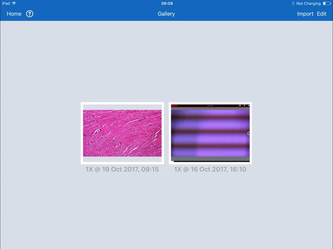 MOTIC 學(xué)生教學(xué)顯微鏡拍照效果截圖 MOTIC 學(xué)生教學(xué)顯微鏡拍照效果截圖