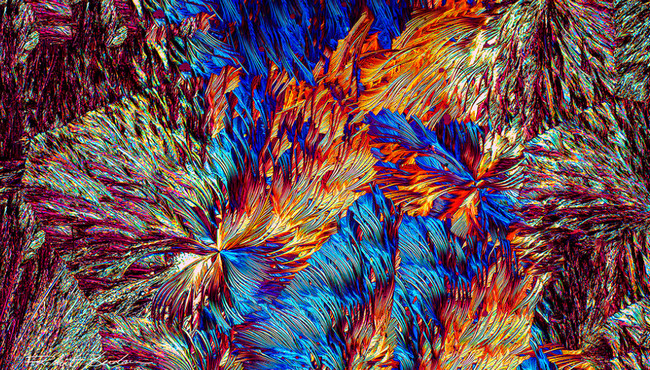 MOTIC BA310POL偏光顯微鏡成像
