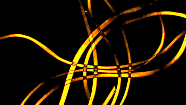 MOTIC BA310POL偏光顯微鏡成像 MOTIC BA310POL偏光顯微鏡成像