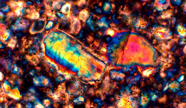 MOTIC BA310POL偏光顯微鏡成像