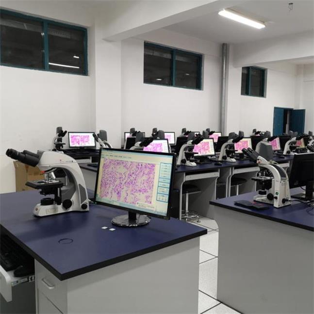 MOTIC 數(shù)碼互動實驗室實拍