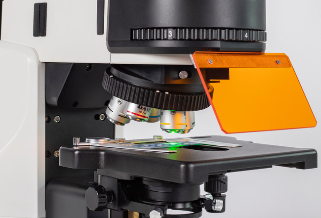 麥克奧迪MOTIC pa53 fs6熒光顯微鏡產(chǎn)品圖