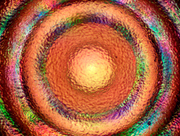 motic BA310MET金相顯微鏡成像效果