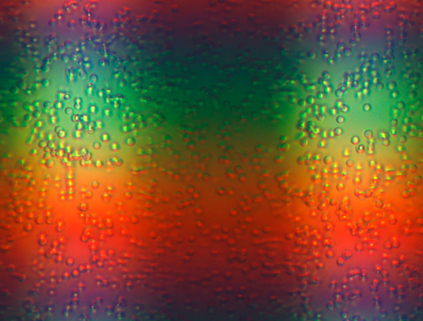 motic BA310MET金相顯微鏡成像效果