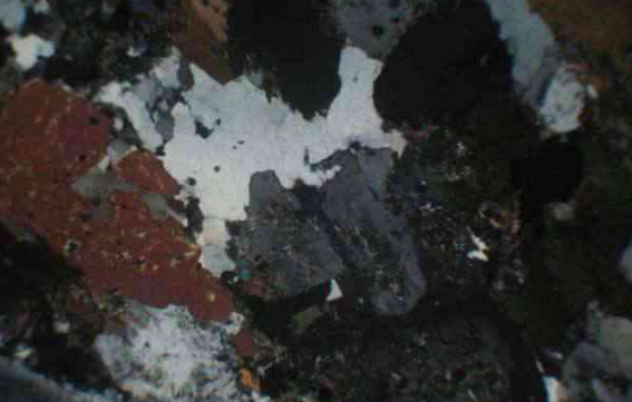 閃長巖正交偏光