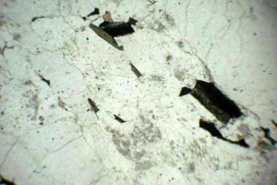 黑云母片麻巖單偏光