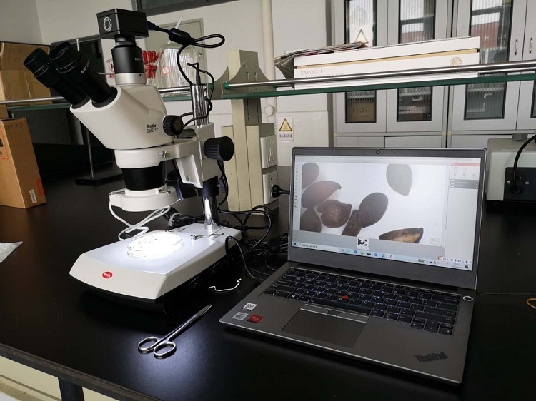 MOTIC體視顯微鏡SMZ171加裝LED環(huán)形燈