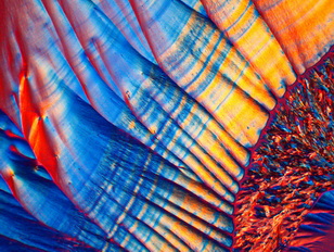 MOTIC ba310偏光顯微鏡成像案例