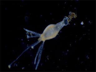 /case/9315241639.html